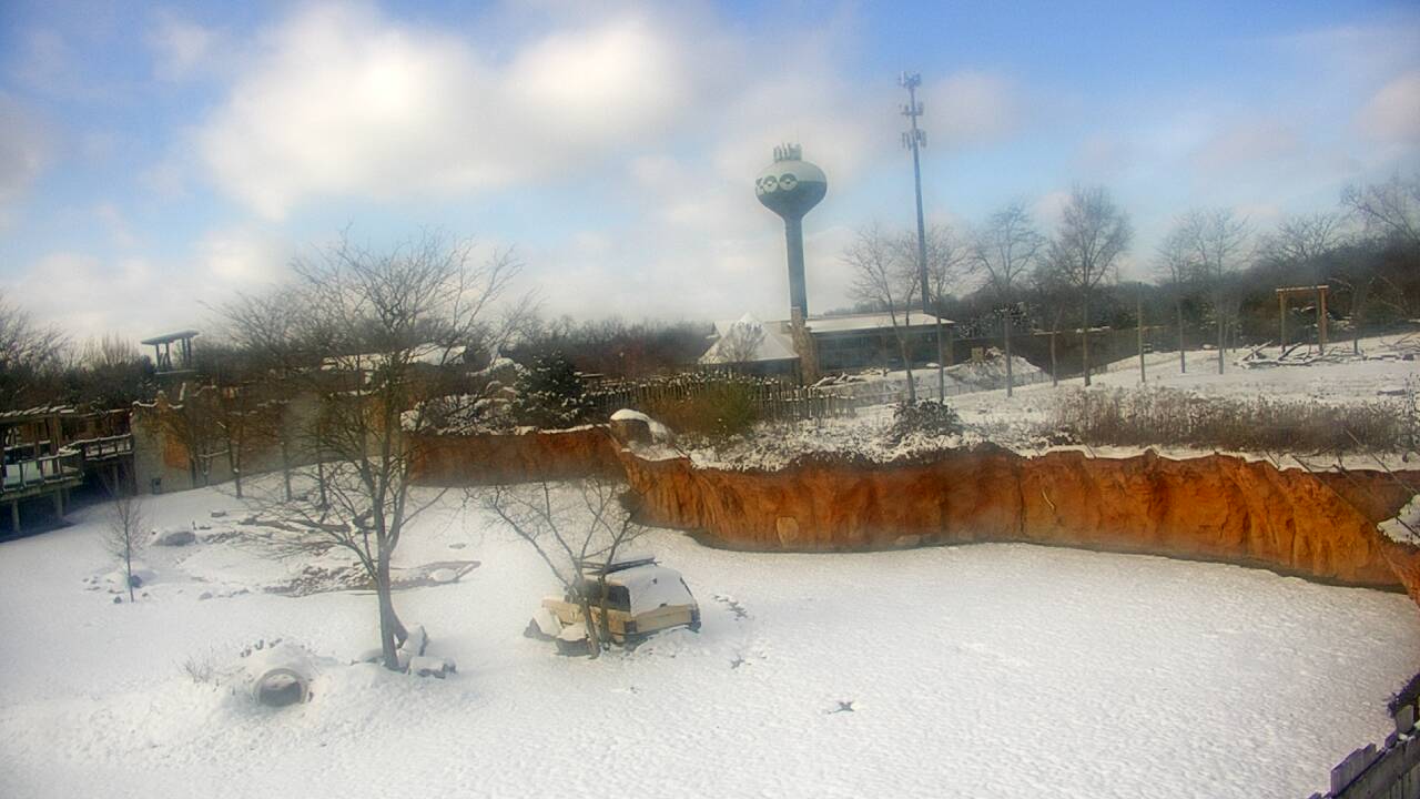 Thumbnail for current weather camera view from Columbus Zoo and Aquarium in Powell, Ohio
