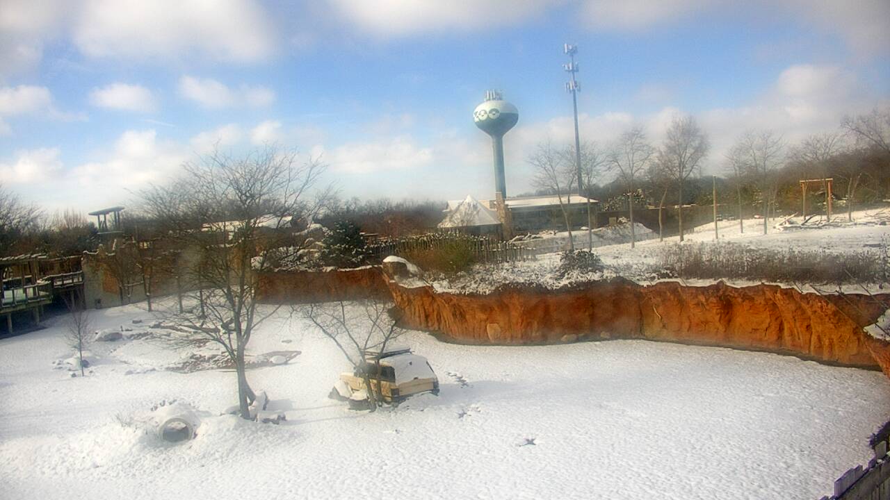 Thumbnail for current weather camera view from Columbus Zoo and Aquarium in Powell, Ohio