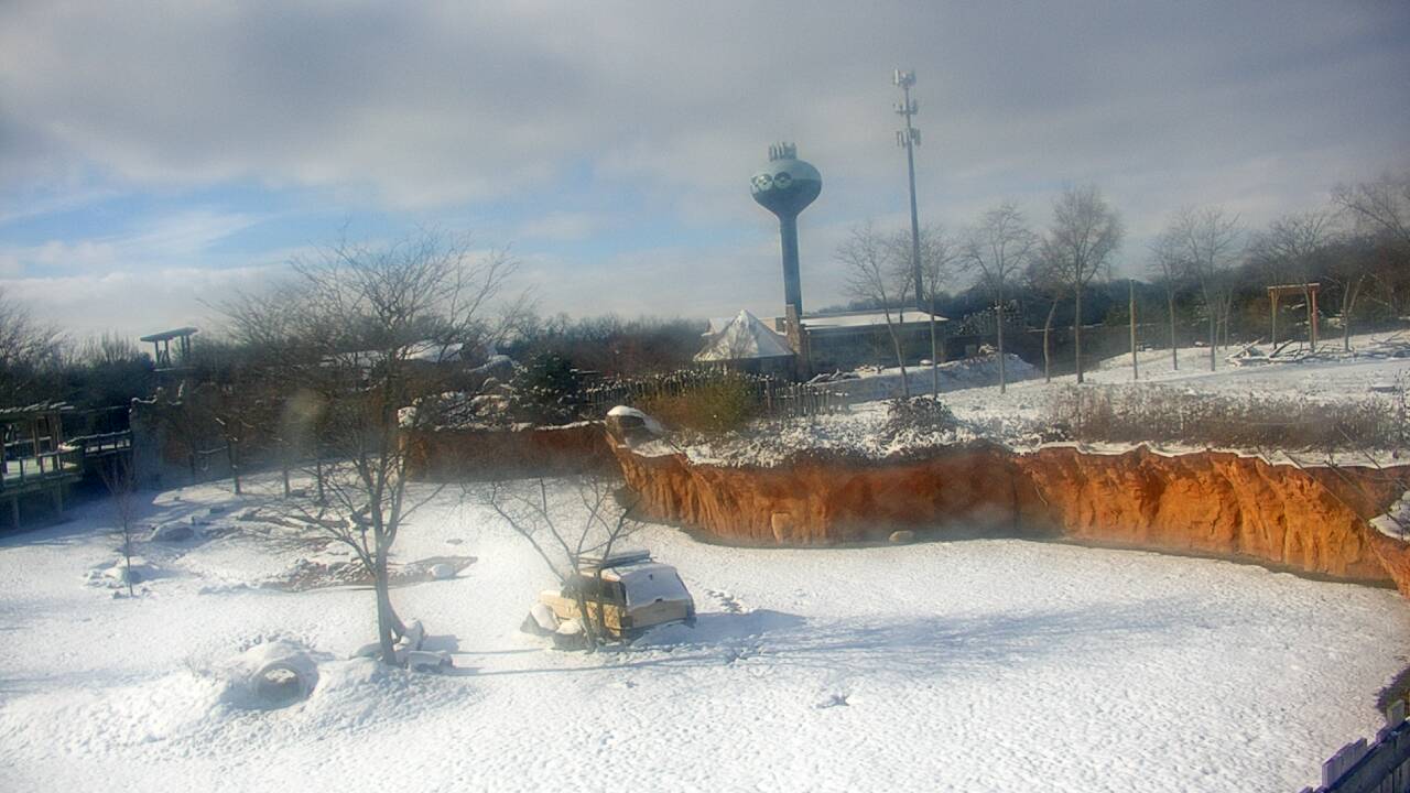 Thumbnail for current weather camera view from Columbus Zoo and Aquarium in Powell, Ohio