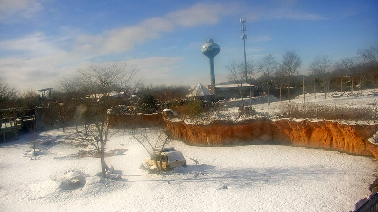Thumbnail for current weather camera view from Columbus Zoo and Aquarium in Powell, Ohio