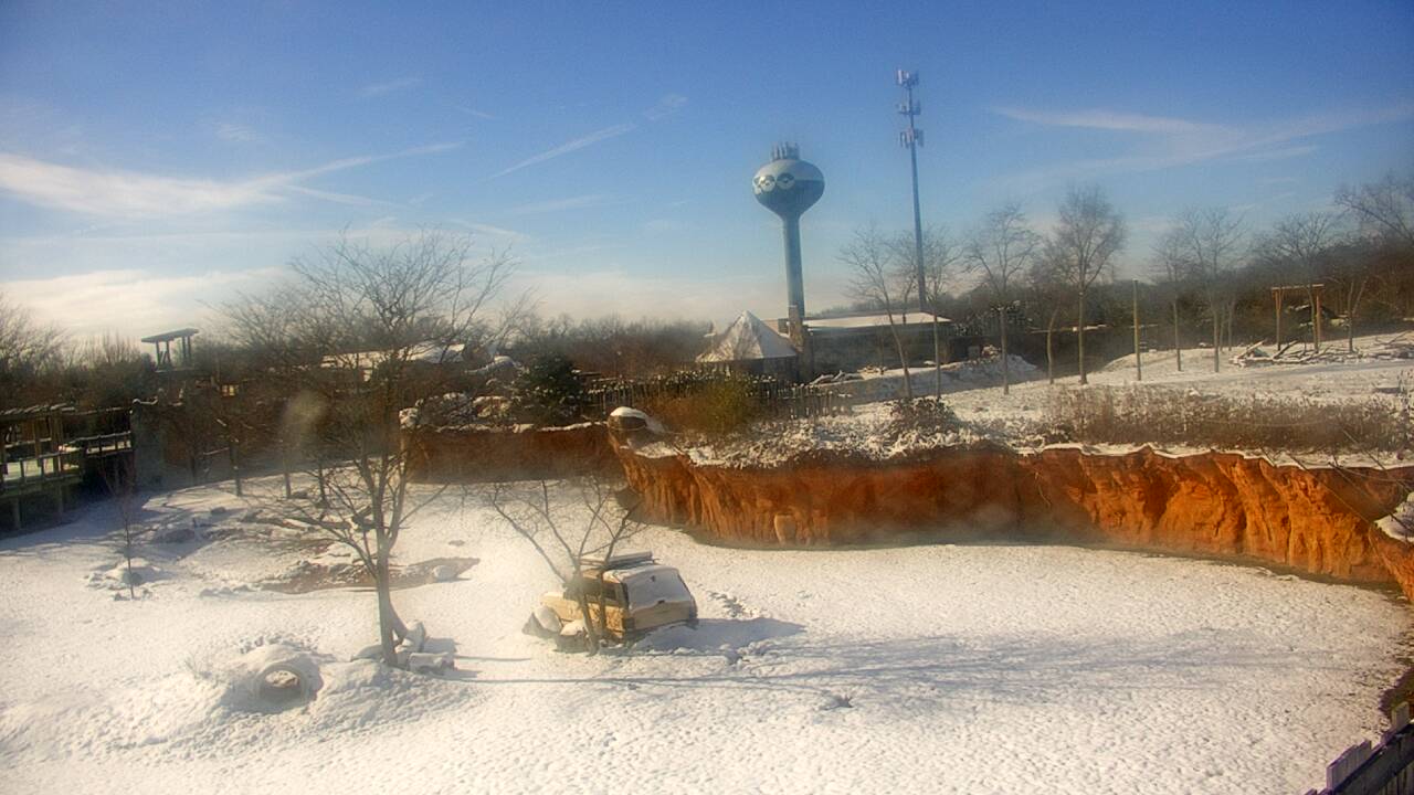 Thumbnail for current weather camera view from Columbus Zoo and Aquarium in Powell, Ohio