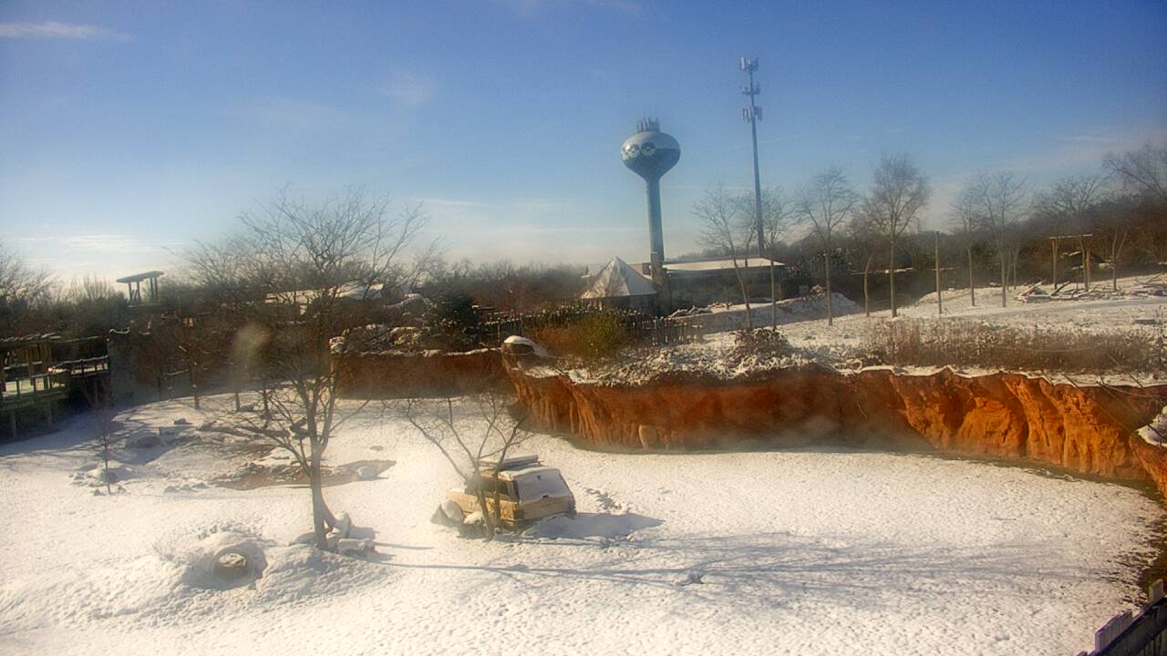 Thumbnail for current weather camera view from Columbus Zoo and Aquarium in Powell, Ohio