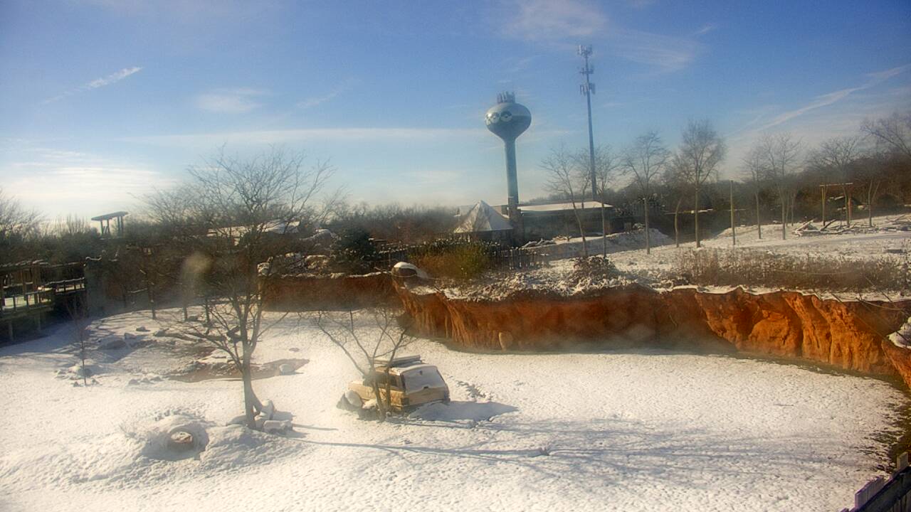 Thumbnail for current weather camera view from Columbus Zoo and Aquarium in Powell, Ohio