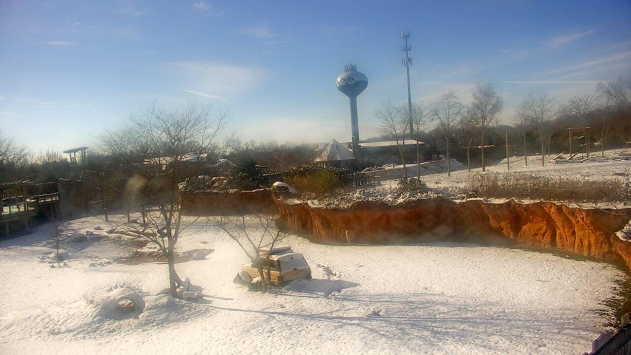 Thumbnail for current weather camera view from Columbus Zoo and Aquarium in Powell, Ohio