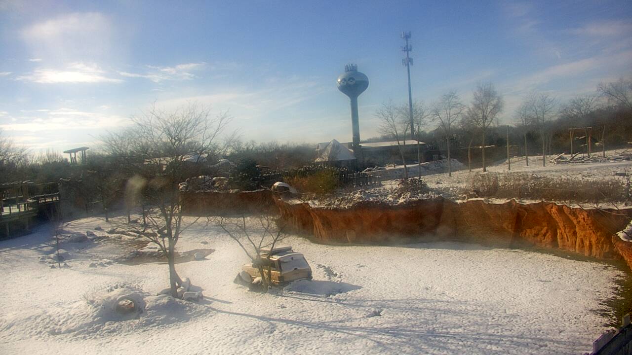 Thumbnail for current weather camera view from Columbus Zoo and Aquarium in Powell, Ohio