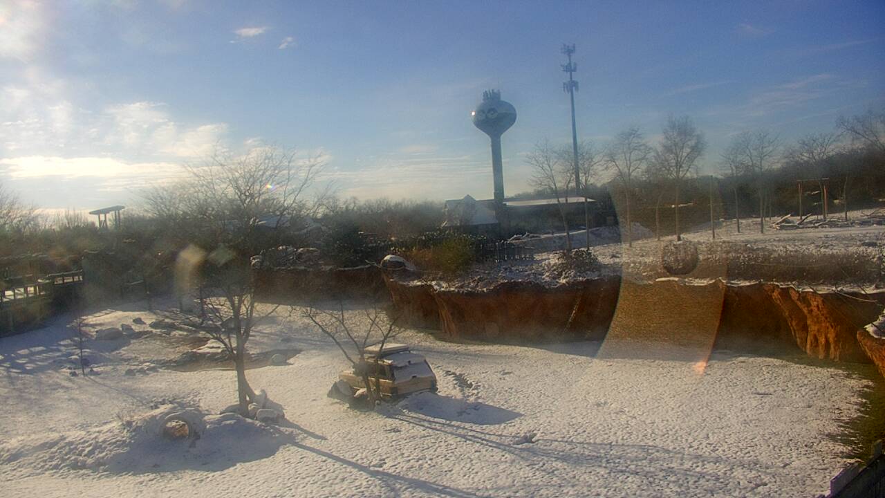 Thumbnail for current weather camera view from Columbus Zoo and Aquarium in Powell, Ohio