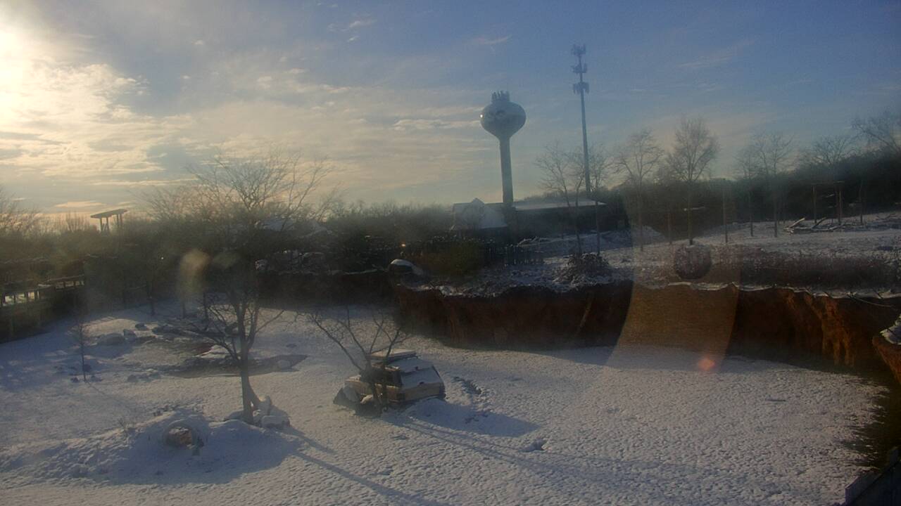 Thumbnail for current weather camera view from Columbus Zoo and Aquarium in Powell, Ohio