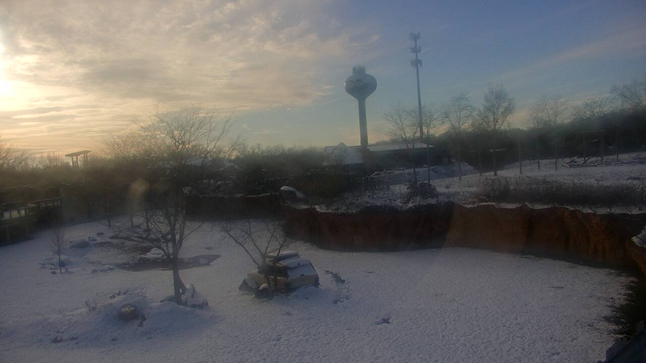 Thumbnail for current weather camera view from Columbus Zoo and Aquarium in Powell, Ohio