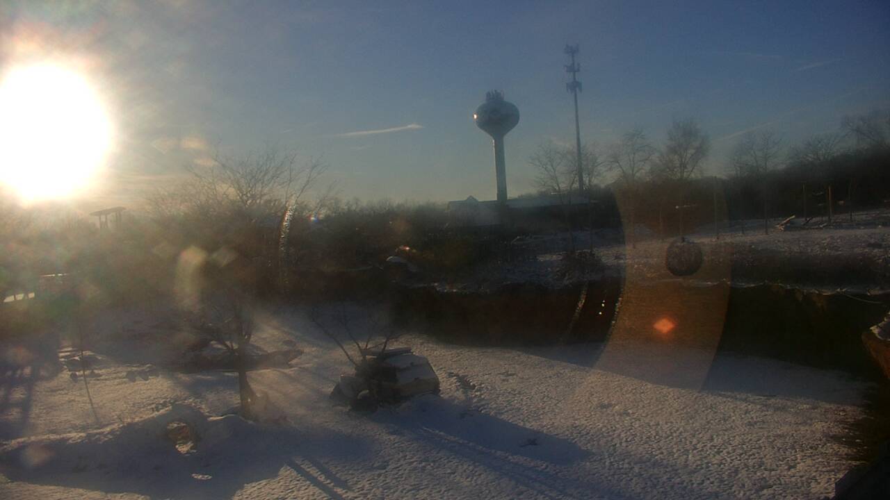 Thumbnail for current weather camera view from Columbus Zoo and Aquarium in Powell, Ohio