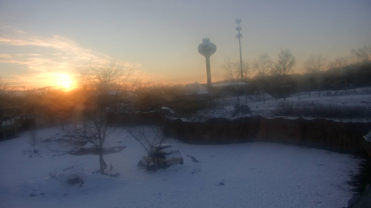 Thumbnail for current weather camera view from Columbus Zoo and Aquarium in Powell, Ohio