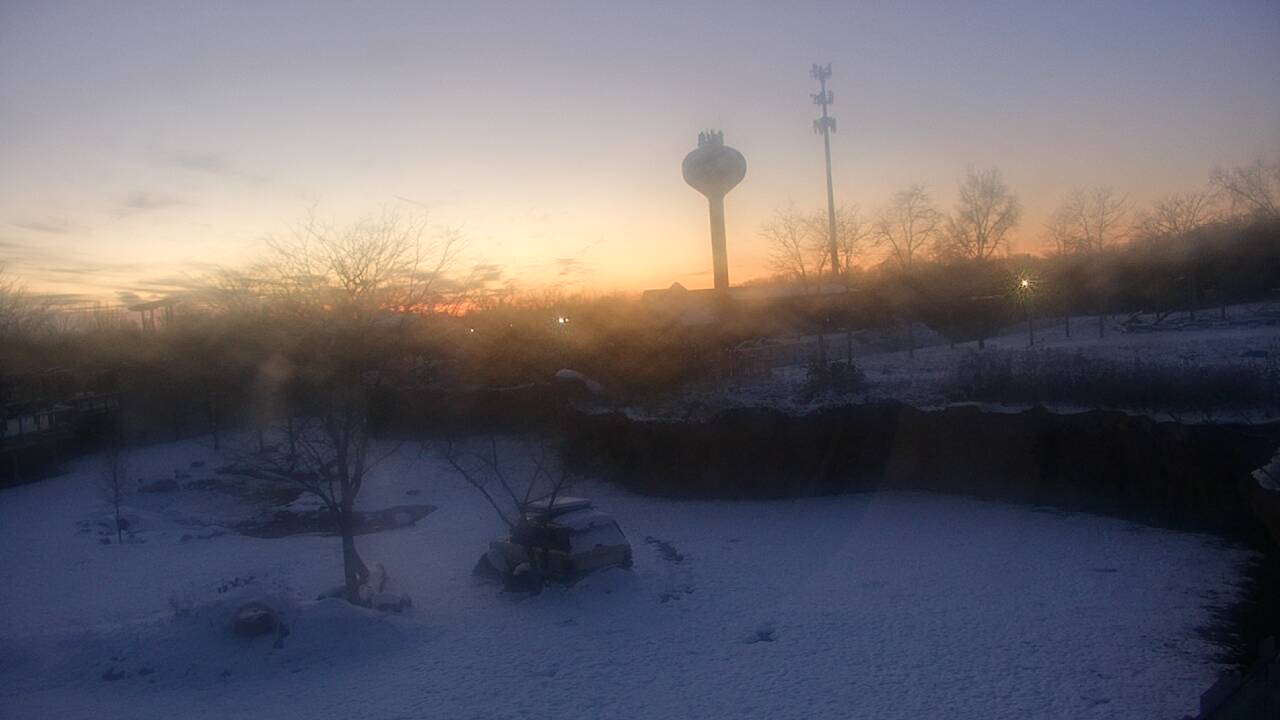 Thumbnail for current weather camera view from Columbus Zoo and Aquarium in Powell, Ohio