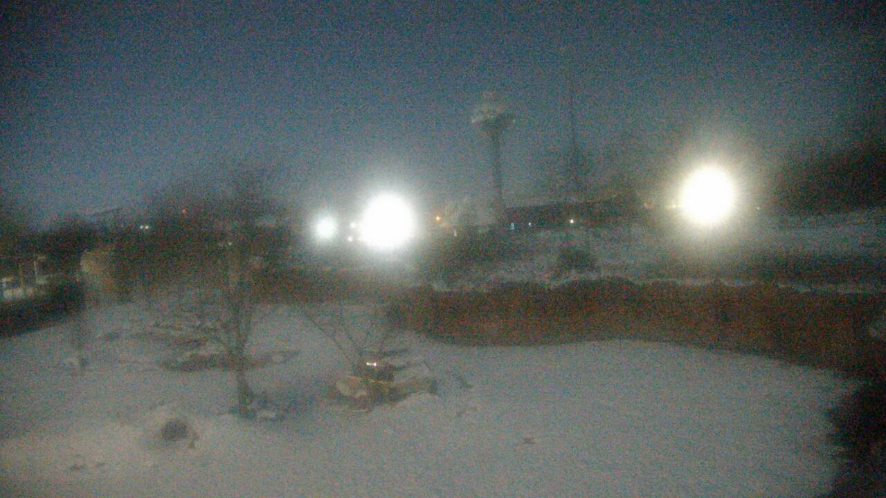 Thumbnail for current weather camera view from Columbus Zoo and Aquarium in Powell, Ohio