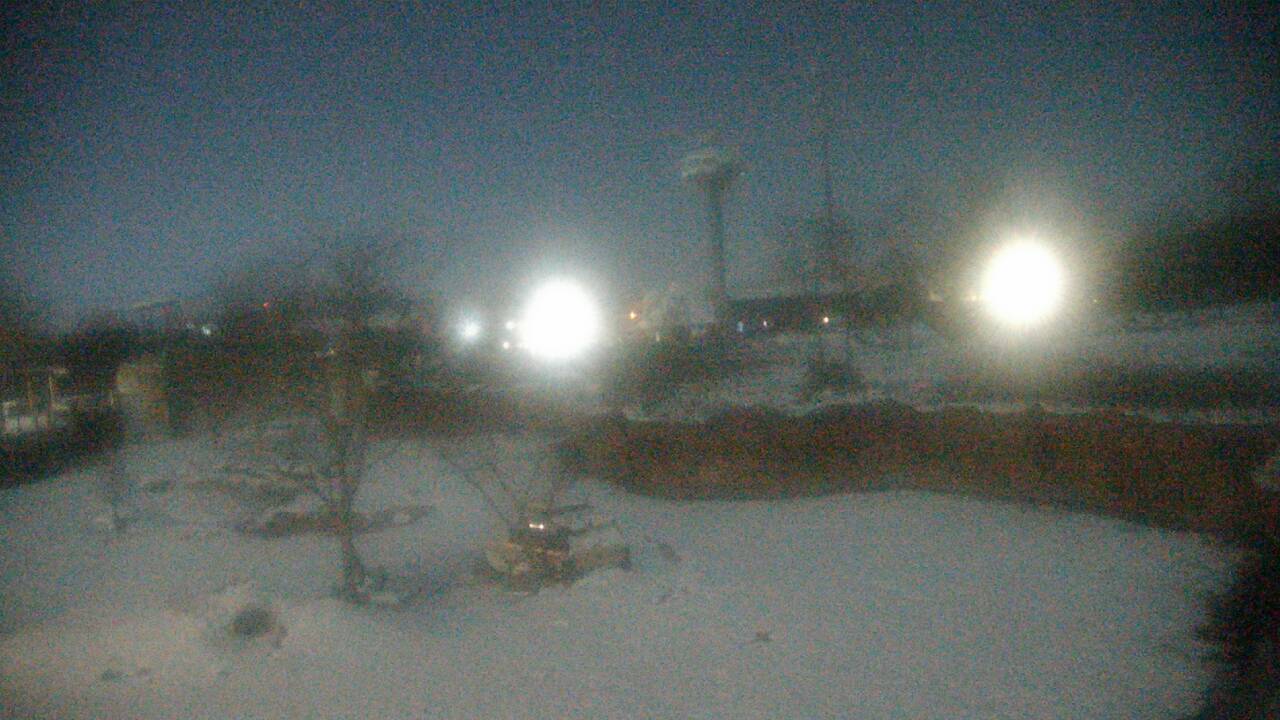 Thumbnail for current weather camera view from Columbus Zoo and Aquarium in Powell, Ohio