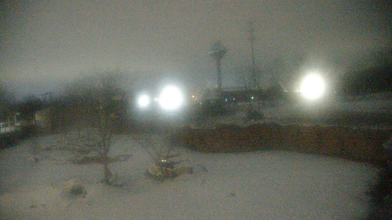 Thumbnail for current weather camera view from Columbus Zoo and Aquarium in Powell, Ohio