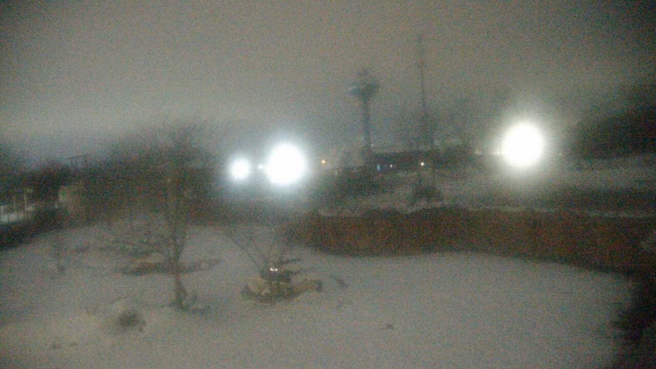 Thumbnail for current weather camera view from Columbus Zoo and Aquarium in Powell, Ohio