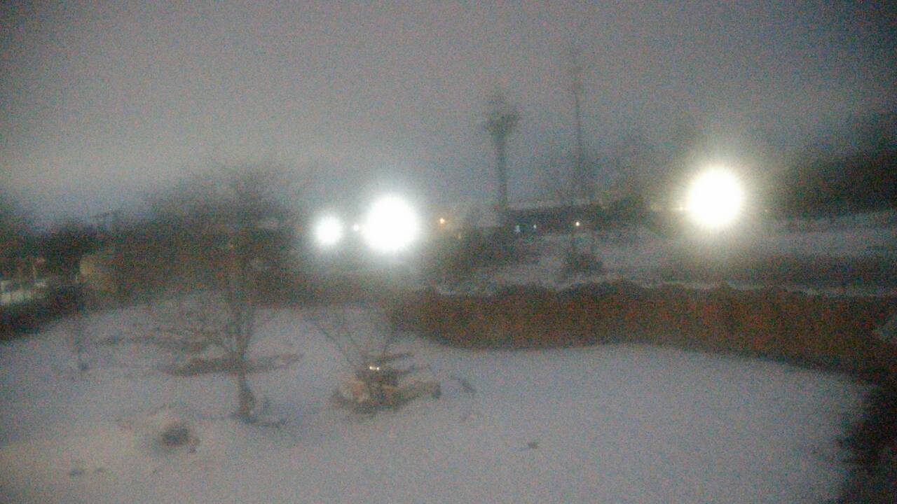 Thumbnail for current weather camera view from Columbus Zoo and Aquarium in Powell, Ohio