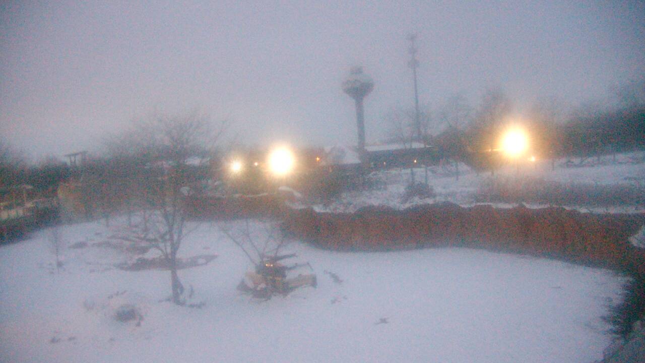 Thumbnail for current weather camera view from Columbus Zoo and Aquarium in Powell, Ohio