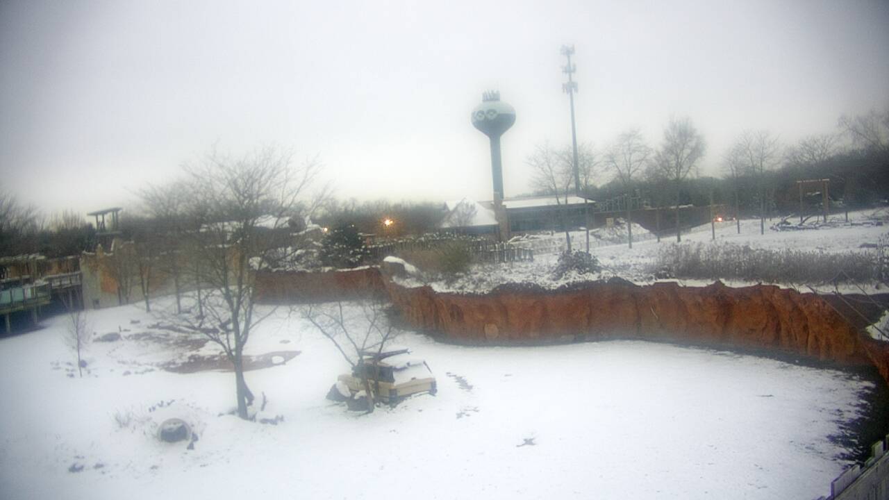 Thumbnail for current weather camera view from Columbus Zoo and Aquarium in Powell, Ohio
