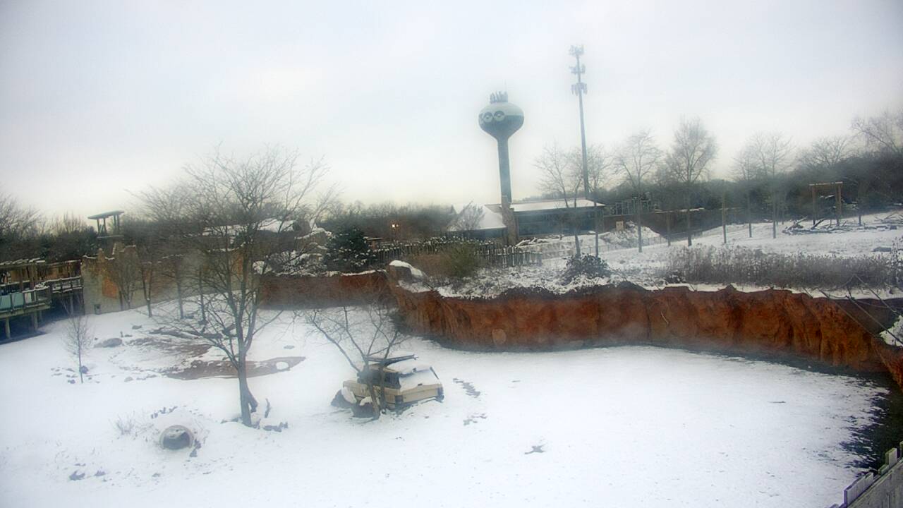 Thumbnail for current weather camera view from Columbus Zoo and Aquarium in Powell, Ohio