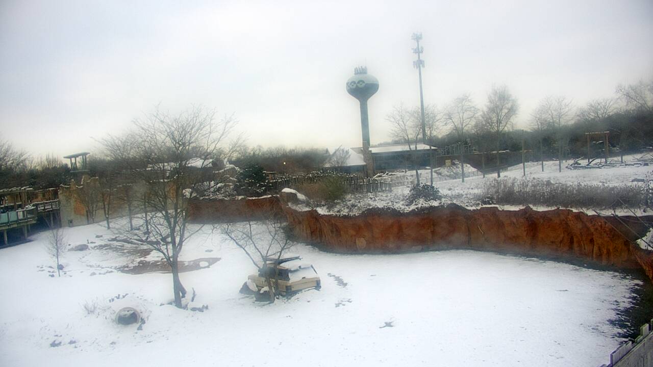 Thumbnail for current weather camera view from Columbus Zoo and Aquarium in Powell, Ohio