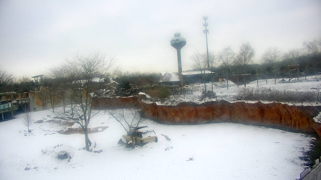 Thumbnail for current weather camera view from Columbus Zoo and Aquarium in Powell, Ohio