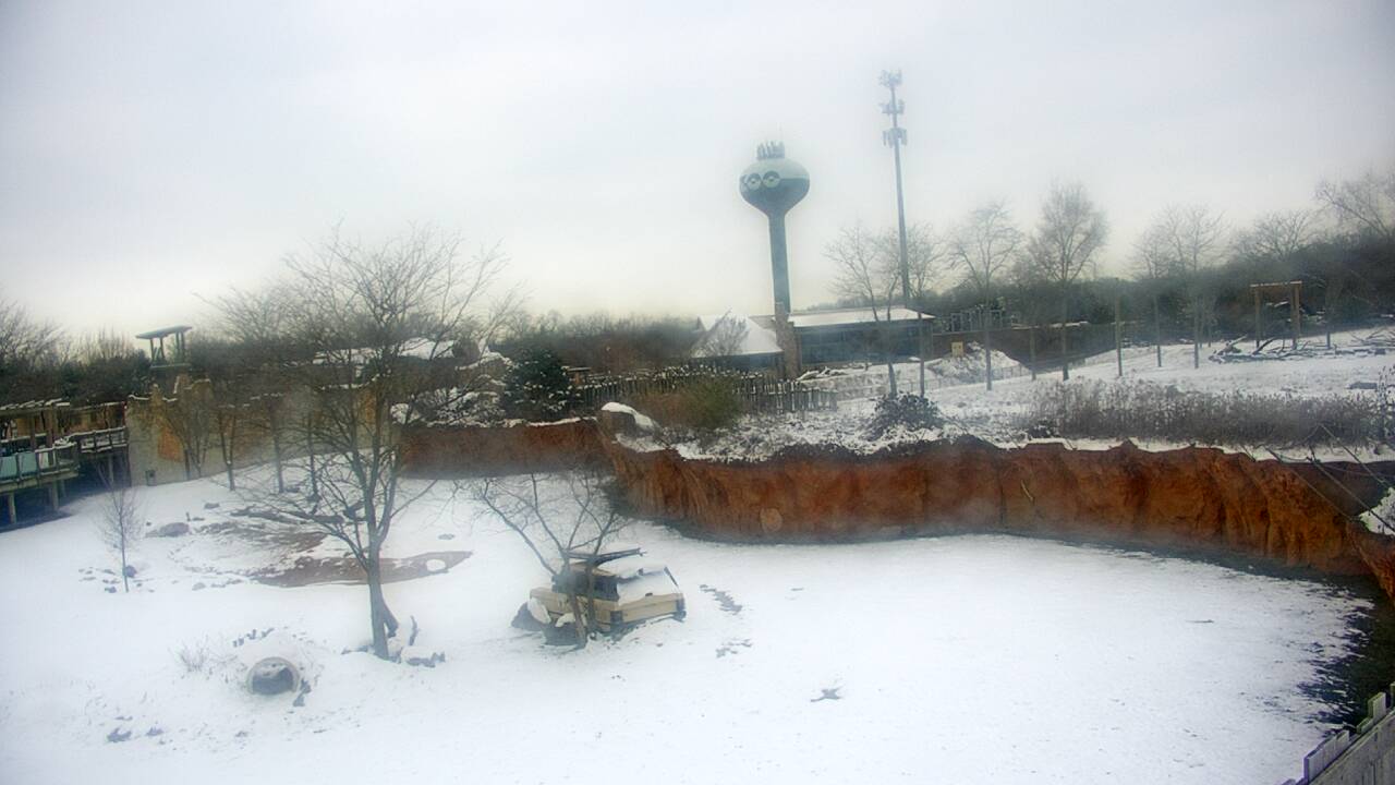 Thumbnail for current weather camera view from Columbus Zoo and Aquarium in Powell, Ohio