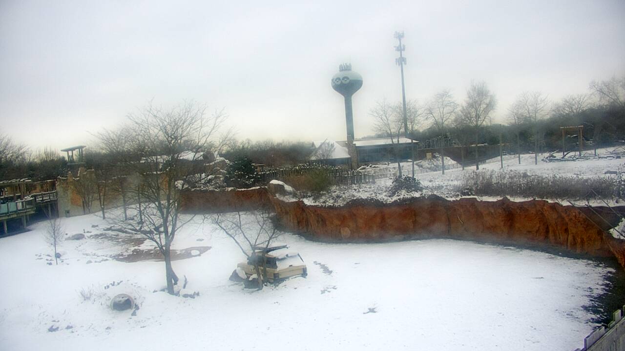 Thumbnail for current weather camera view from Columbus Zoo and Aquarium in Powell, Ohio