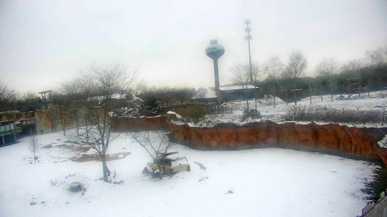 Thumbnail for current weather camera view from Columbus Zoo and Aquarium in Powell, Ohio