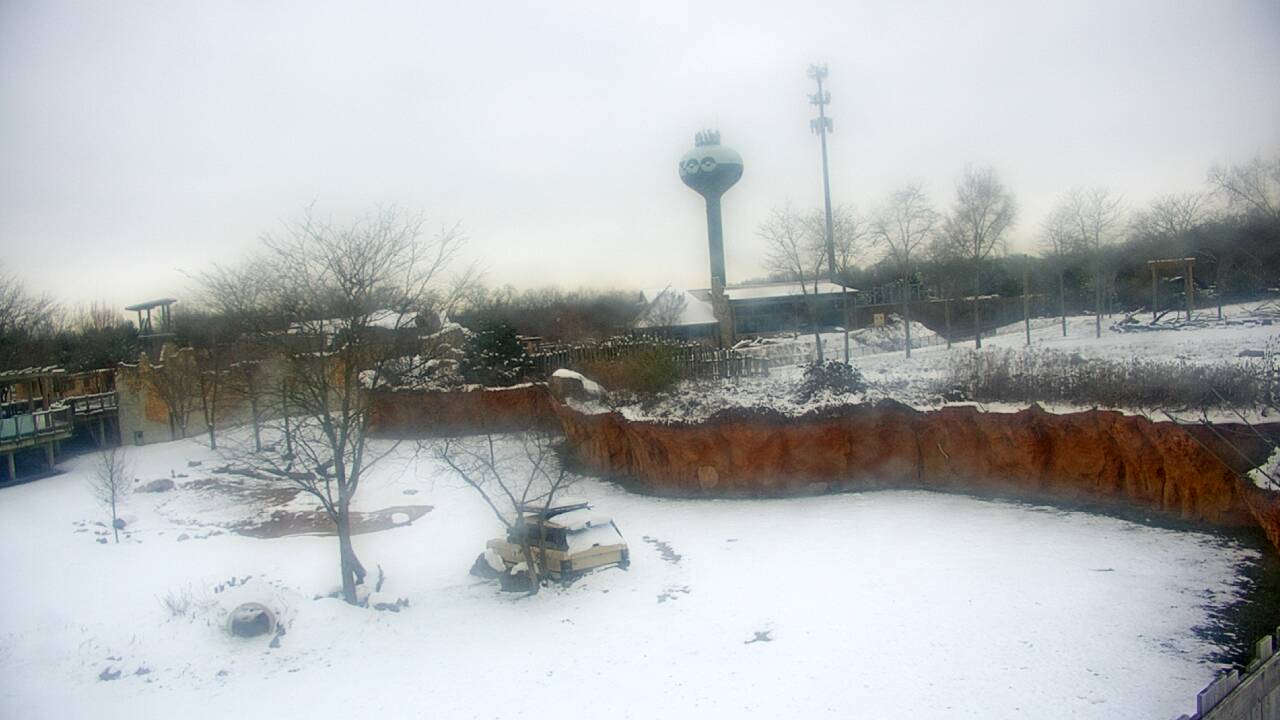 Thumbnail for current weather camera view from Columbus Zoo and Aquarium in Powell, Ohio