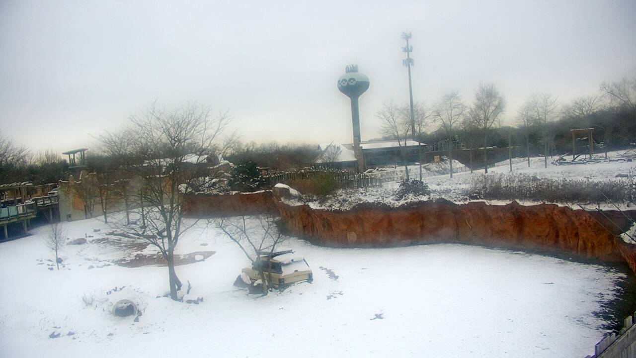 Thumbnail for current weather camera view from Columbus Zoo and Aquarium in Powell, Ohio