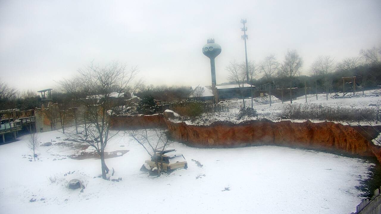 Thumbnail for current weather camera view from Columbus Zoo and Aquarium in Powell, Ohio