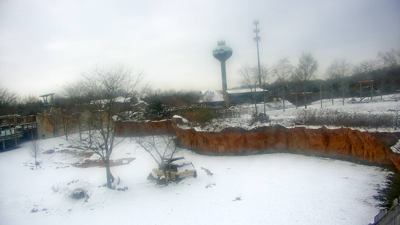 Thumbnail for current weather camera view from Columbus Zoo and Aquarium in Powell, Ohio