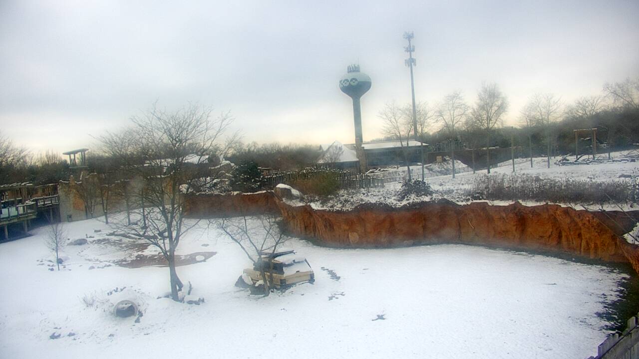 Thumbnail for current weather camera view from Columbus Zoo and Aquarium in Powell, Ohio