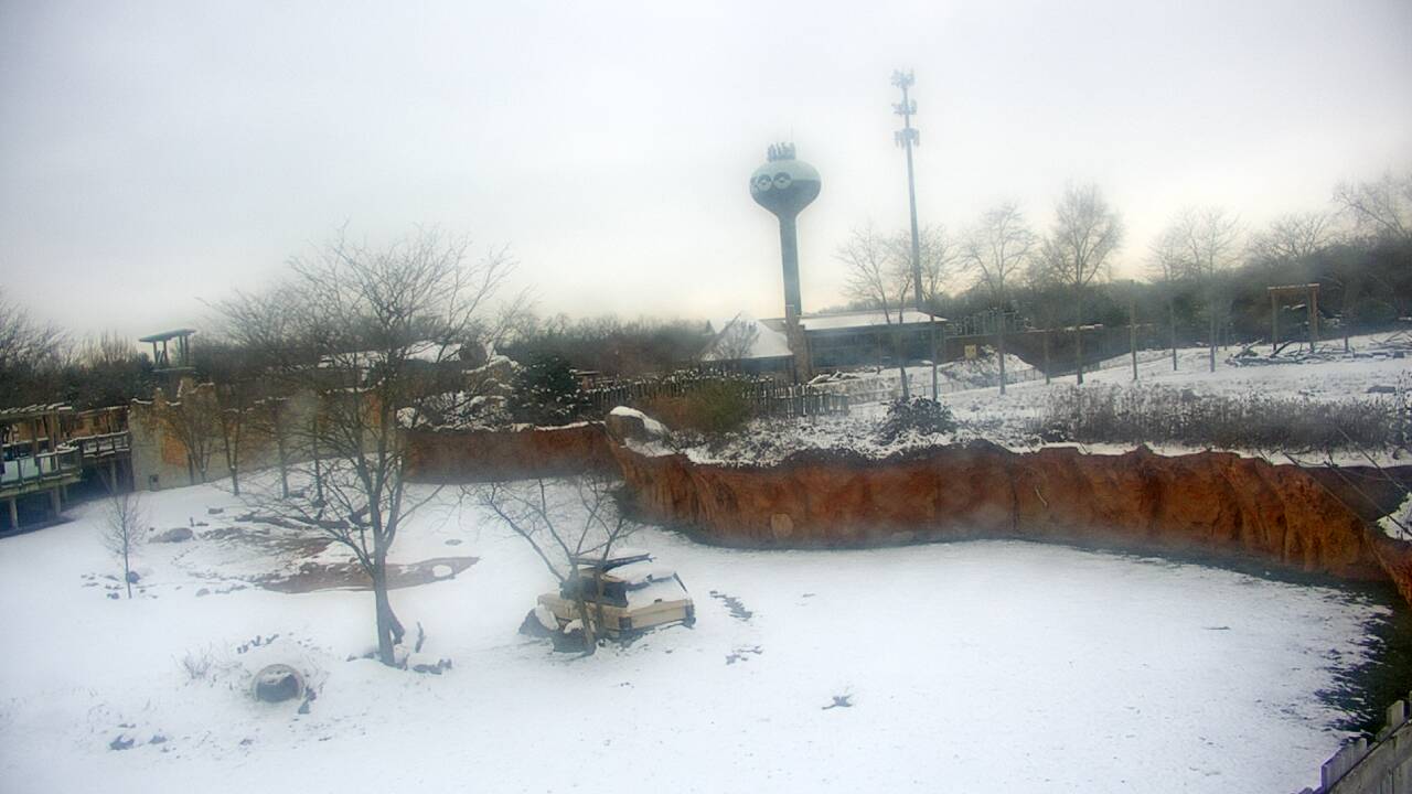 Thumbnail for current weather camera view from Columbus Zoo and Aquarium in Powell, Ohio