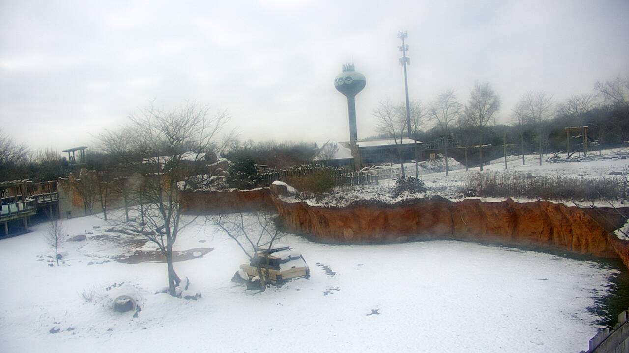 Thumbnail for current weather camera view from Columbus Zoo and Aquarium in Powell, Ohio