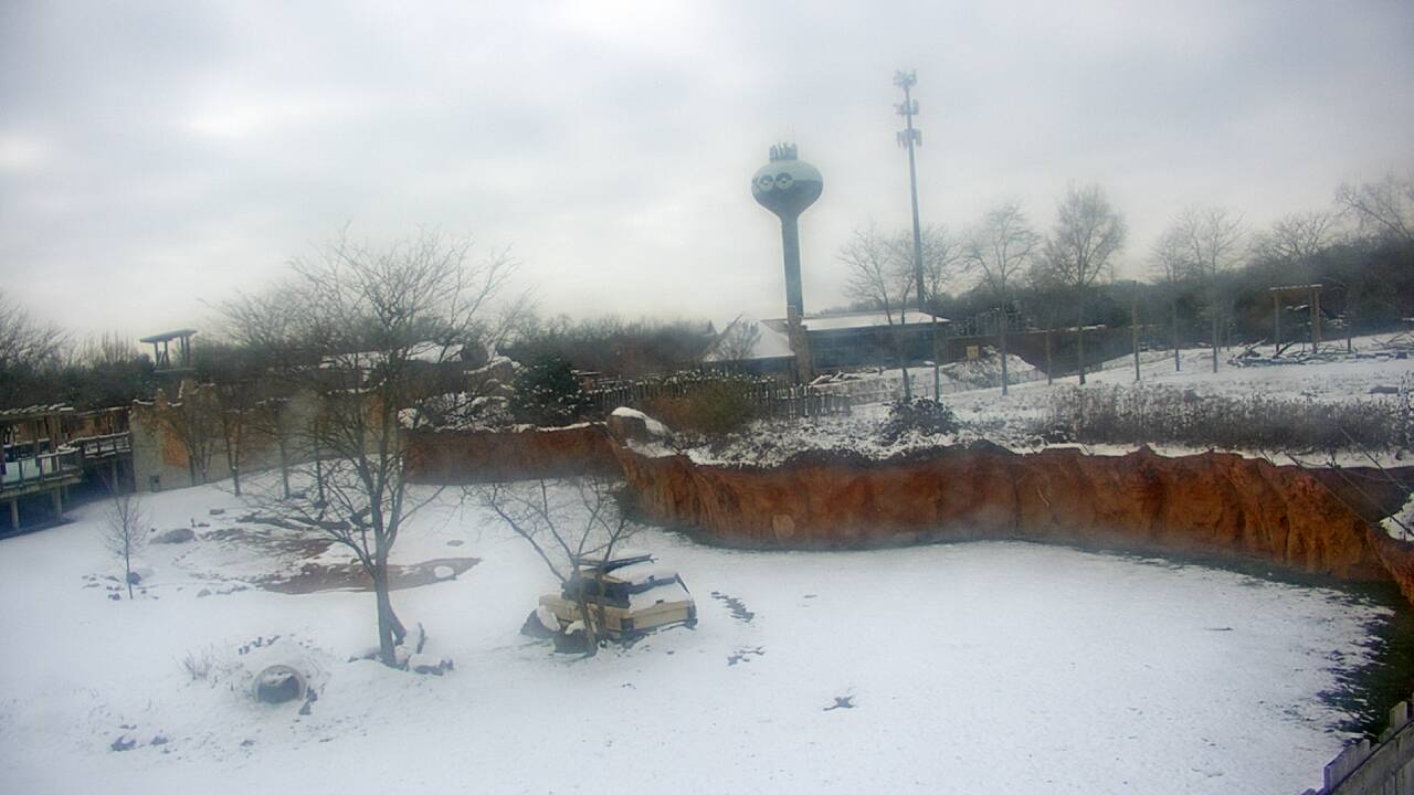 Thumbnail for current weather camera view from Columbus Zoo and Aquarium in Powell, Ohio