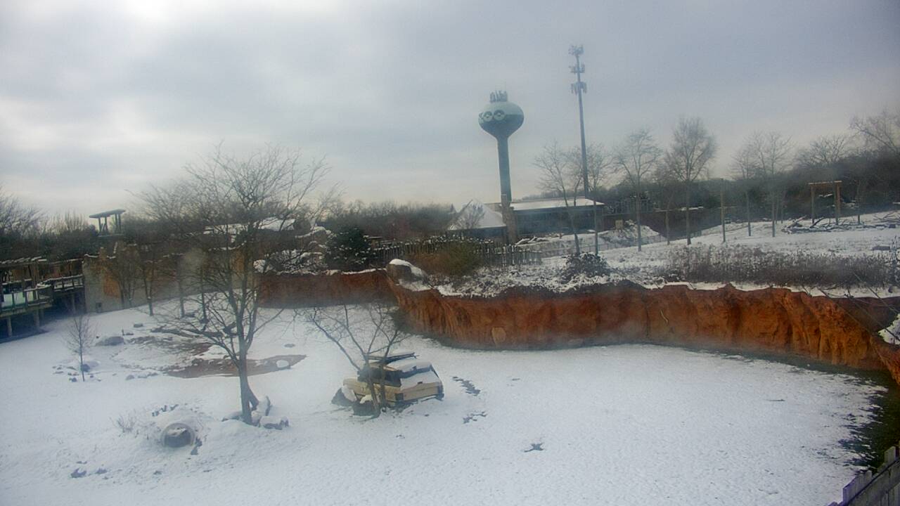 Thumbnail for current weather camera view from Columbus Zoo and Aquarium in Powell, Ohio