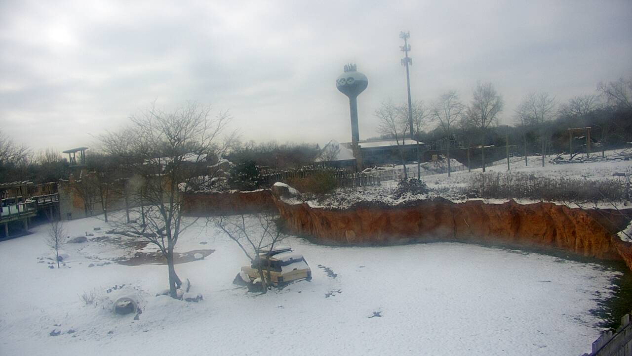Thumbnail for current weather camera view from Columbus Zoo and Aquarium in Powell, Ohio