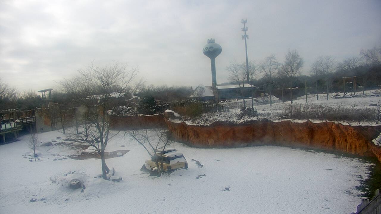 Thumbnail for current weather camera view from Columbus Zoo and Aquarium in Powell, Ohio