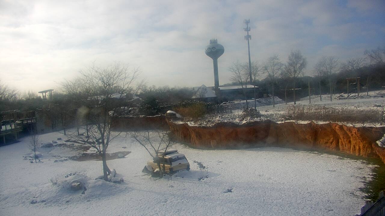 Thumbnail for current weather camera view from Columbus Zoo and Aquarium in Powell, Ohio