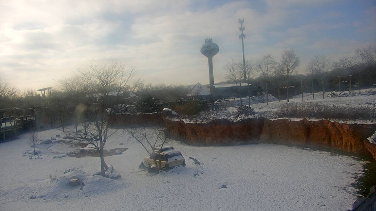 Thumbnail for current weather camera view from Columbus Zoo and Aquarium in Powell, Ohio