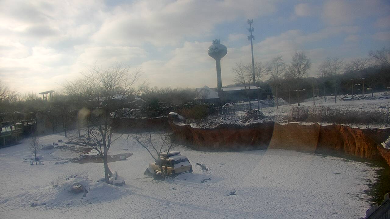 Thumbnail for current weather camera view from Columbus Zoo and Aquarium in Powell, Ohio