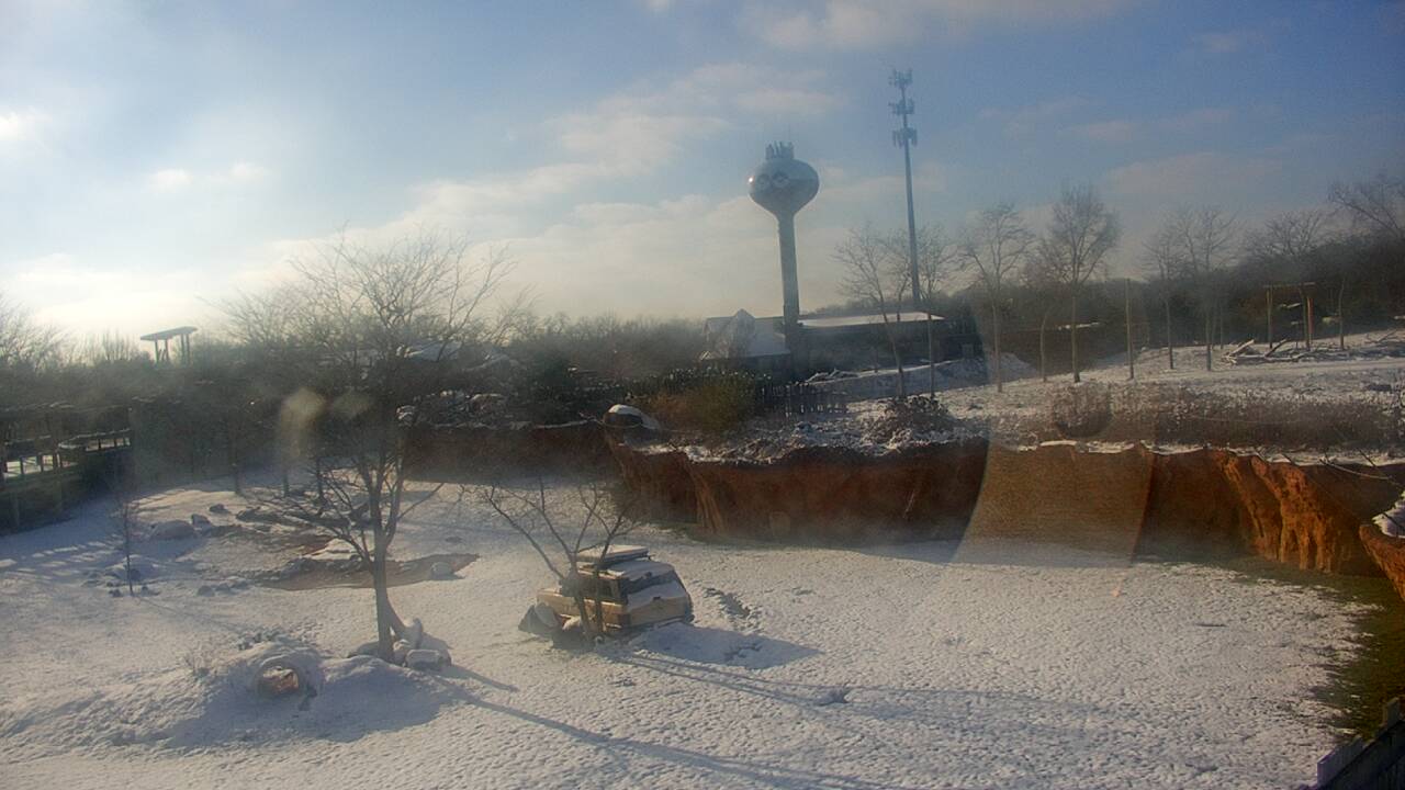 Thumbnail for current weather camera view from Columbus Zoo and Aquarium in Powell, Ohio