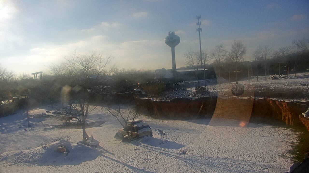 Thumbnail for current weather camera view from Columbus Zoo and Aquarium in Powell, Ohio