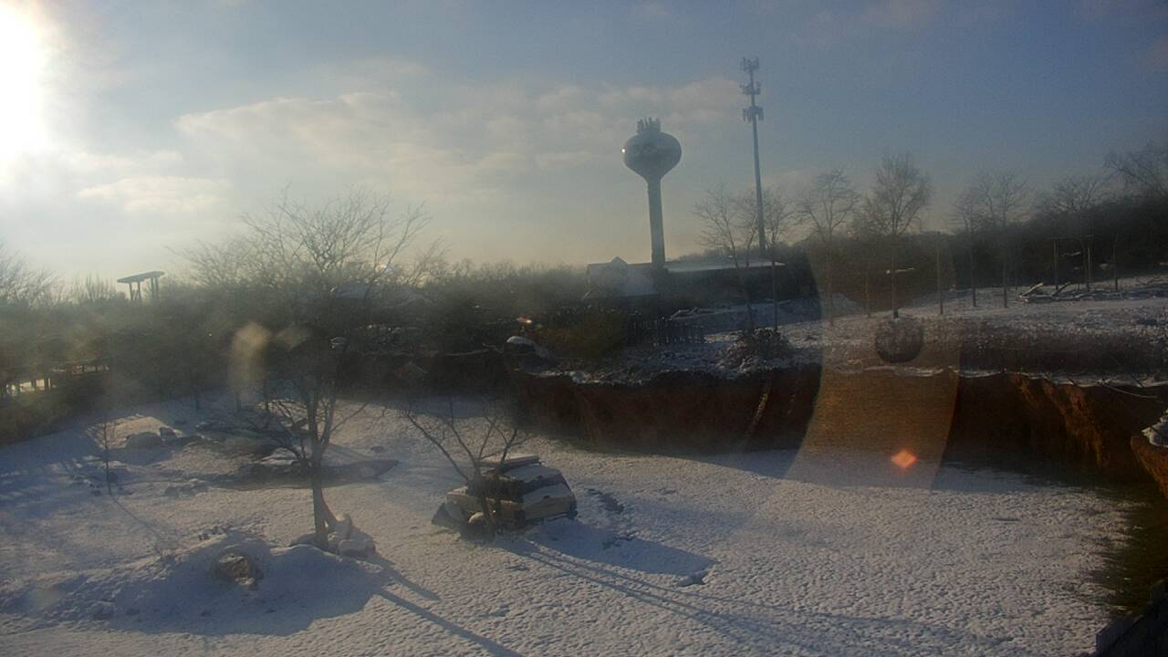 Thumbnail for current weather camera view from Columbus Zoo and Aquarium in Powell, Ohio