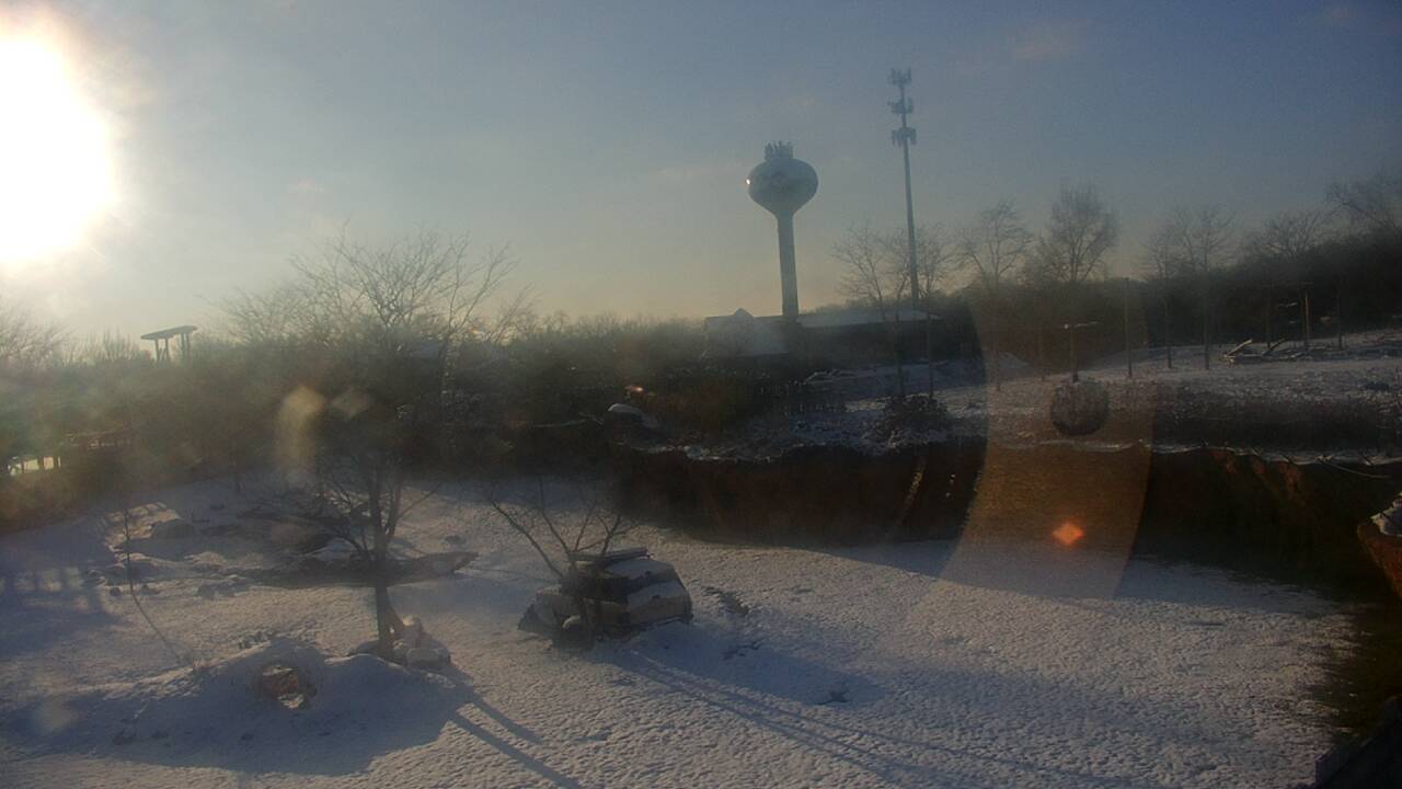 Thumbnail for current weather camera view from Columbus Zoo and Aquarium in Powell, Ohio