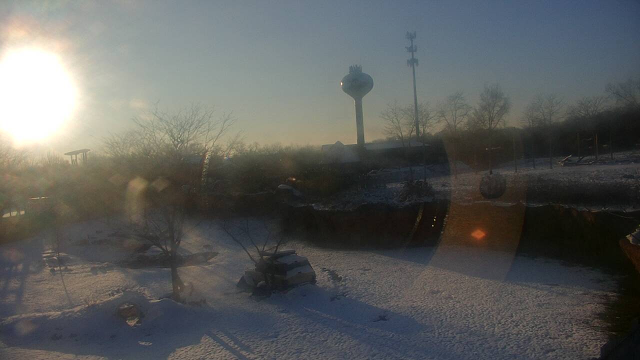 Thumbnail for current weather camera view from Columbus Zoo and Aquarium in Powell, Ohio