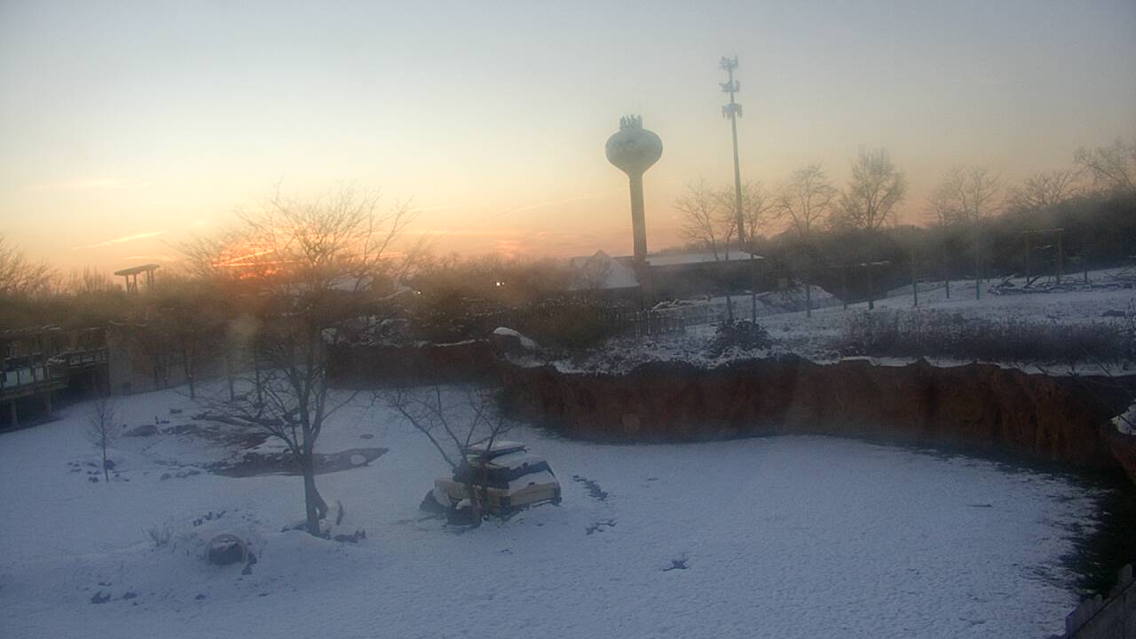 Thumbnail for current weather camera view from Columbus Zoo and Aquarium in Powell, Ohio