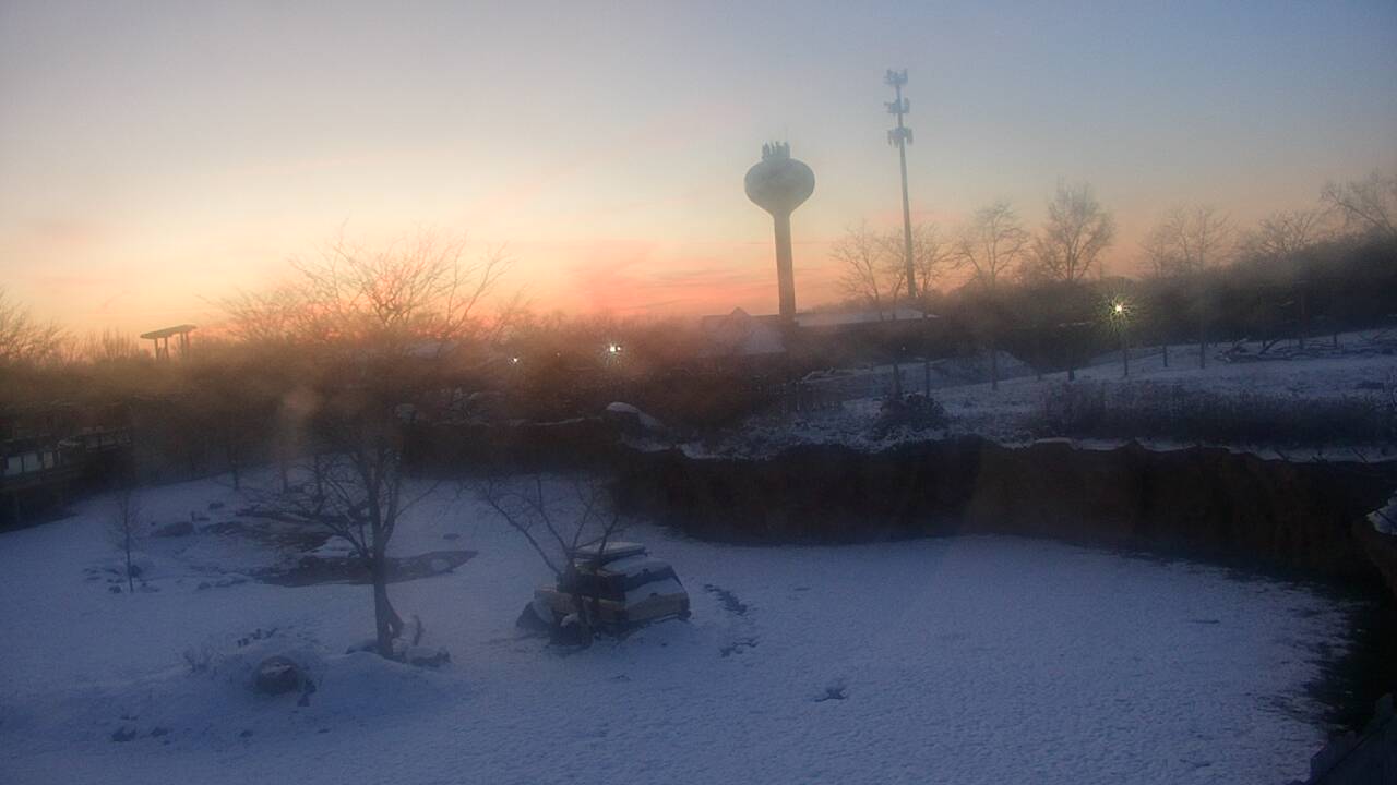 Thumbnail for current weather camera view from Columbus Zoo and Aquarium in Powell, Ohio