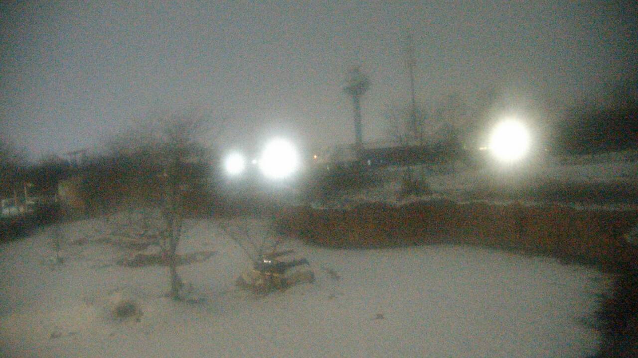 Thumbnail for current weather camera view from Columbus Zoo and Aquarium in Powell, Ohio